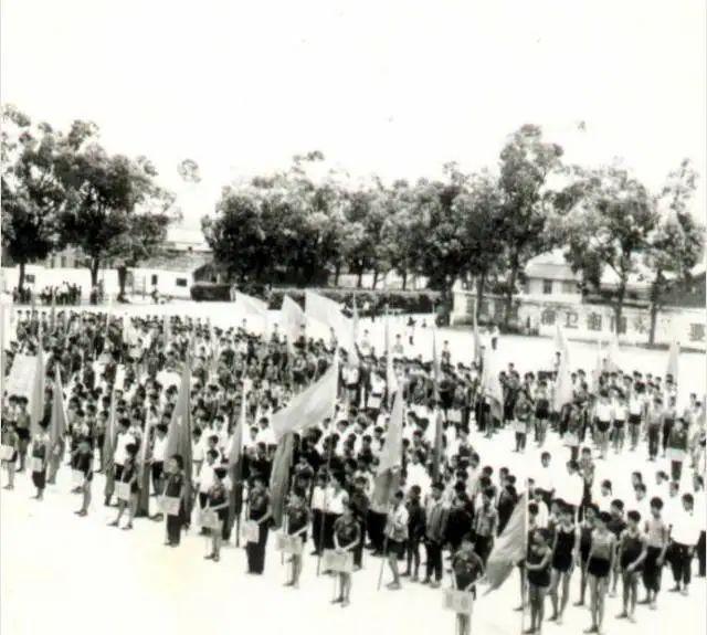 晉江市籃球隊(duì)隊(duì)員名單_晉江市籃球比賽冠軍名單_晉江籃球隊(duì)cba