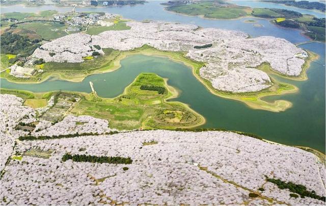 中國(guó)特色小鎮(zhèn)建設(shè)六大要素解析圖，值得收藏??！